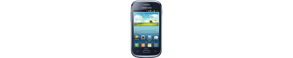 Samsung Galaxy Young 2 - Accessoire téléphone mobile